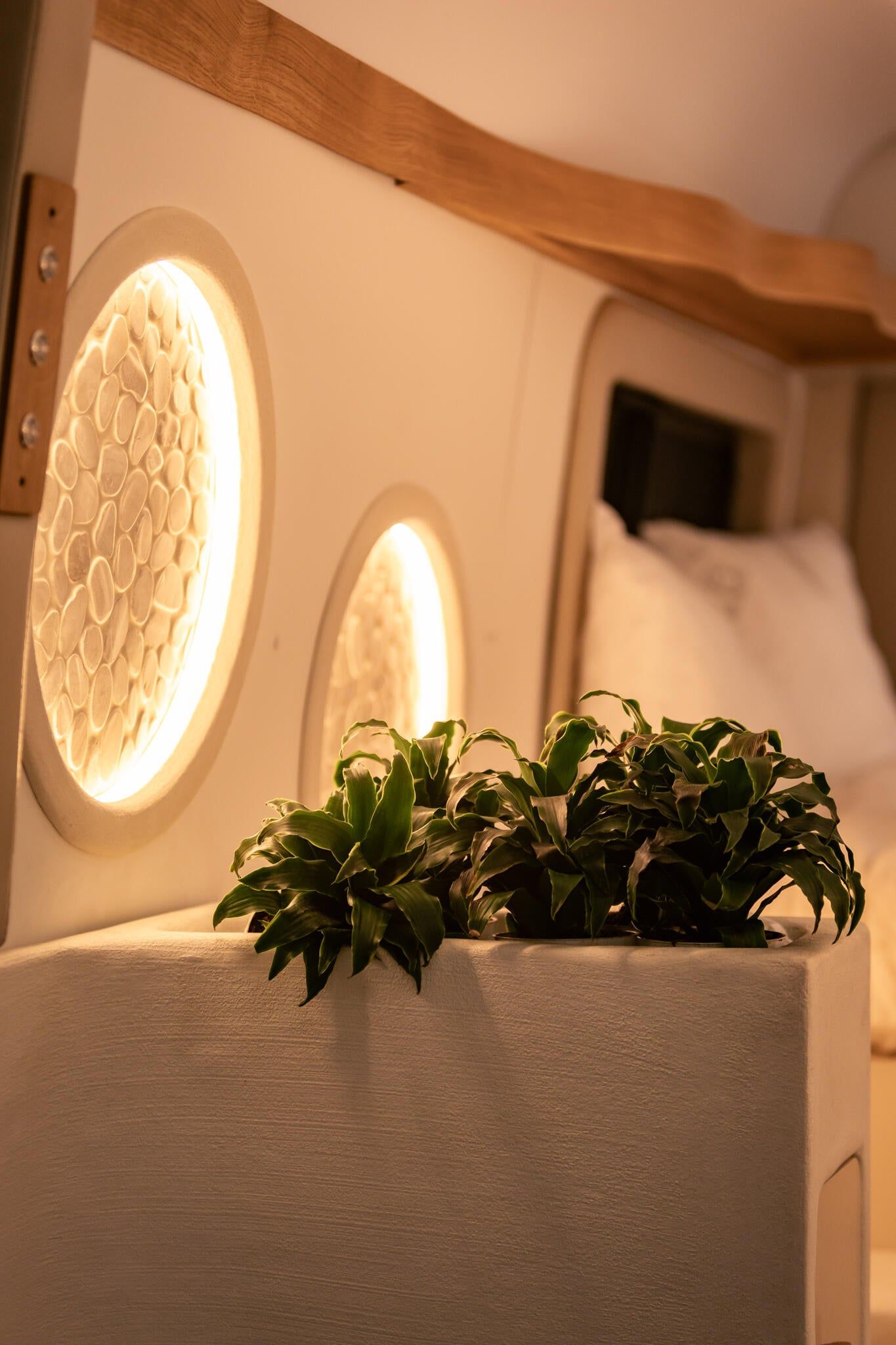 Pebble lights and plant on a plaster ledge in Luna.